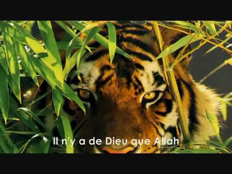 Anasheed - La Ilaha Ila Lah - Il N'Y A De Dieu Que Dieu par Talib Al Habib