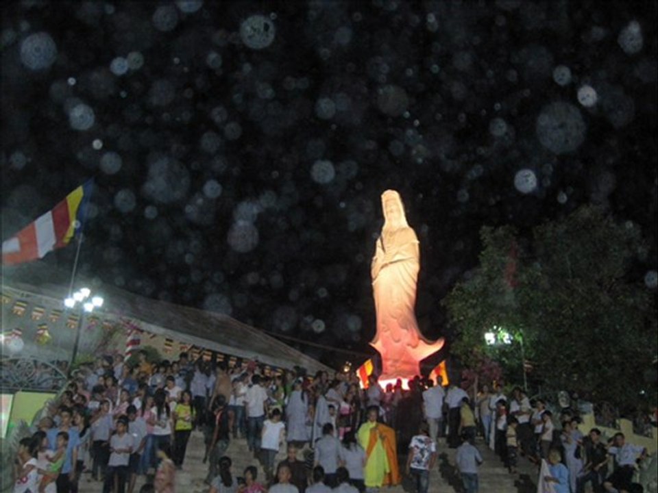 Hoa Mạn Đà La tối 18-6 Nhâm Thìn tại Đài Quán Âm T.P. Huế