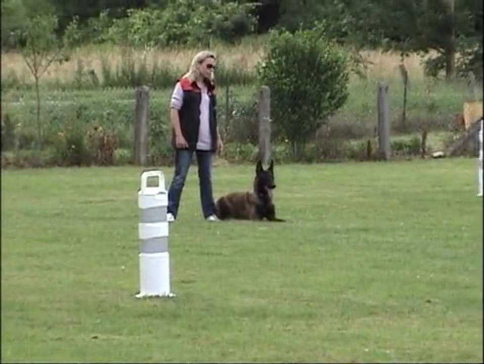 Mordant Malinois : Fête du club de Pannes : première démonstration avec mon malou Erode