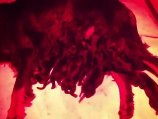 daira portée aout 2012