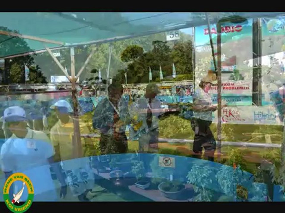 arcen  zaterdag  nvn koi  18-08-2012