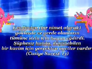 Taklitçi Ahtapot Darwinizmi Yıkıyor