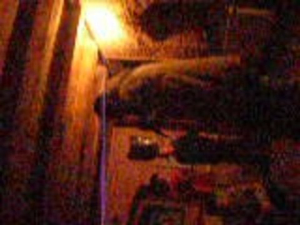 Siid singing