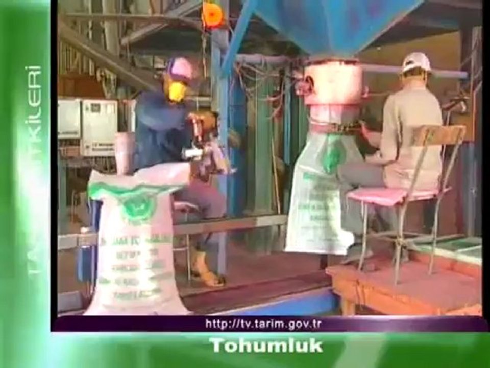 Tohumluk