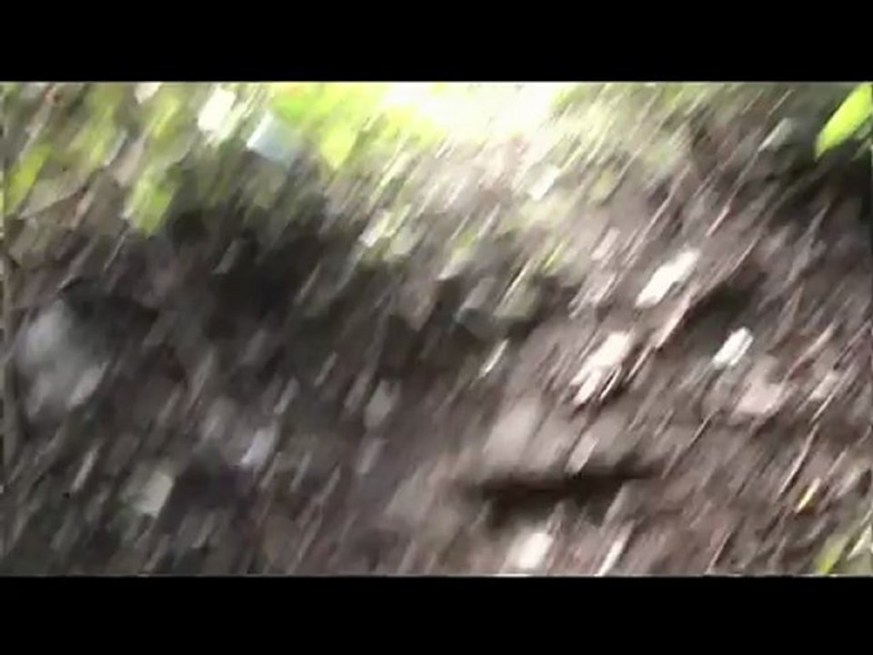 UN AUTRE REGARD DE MON ILE!! 974,prologue.