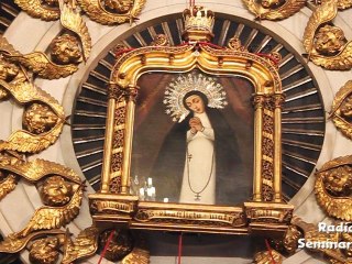 Bajada del cuadro de la Virgen de la Paloma 2012