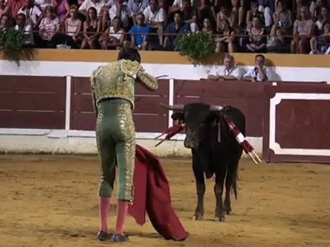 Novillada nocturne Maubourguet 2012