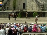 Des spectacles de faucons à Provins