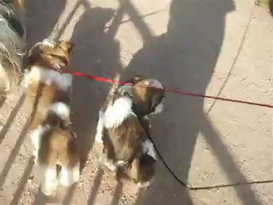 en promenade avec maman et tata aries