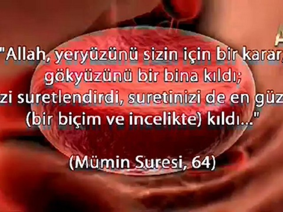 Vücudumuzu Zehirlenmekten Koruyan Özel Sistem
