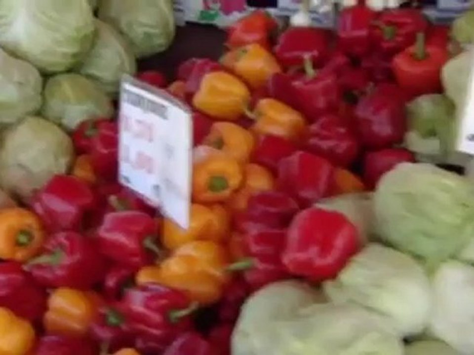 Gebratener Zander mit Sommergemüse und Schnittlauch-Creme Fraiche | Euromaxx a la carte