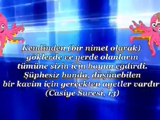 TAKLİTÇİ AHTAPOT DARWİNİZMİ YIKIYOR