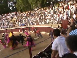 Tafalla 2012 : Baltasar Iban