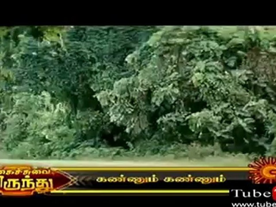 Comedy B 19082012
