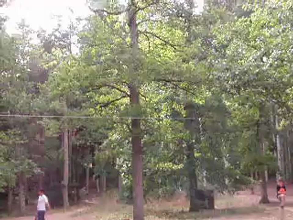 parc de l'écureuil