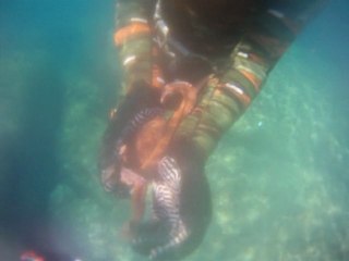 csm sanary sur mer Aout 2012