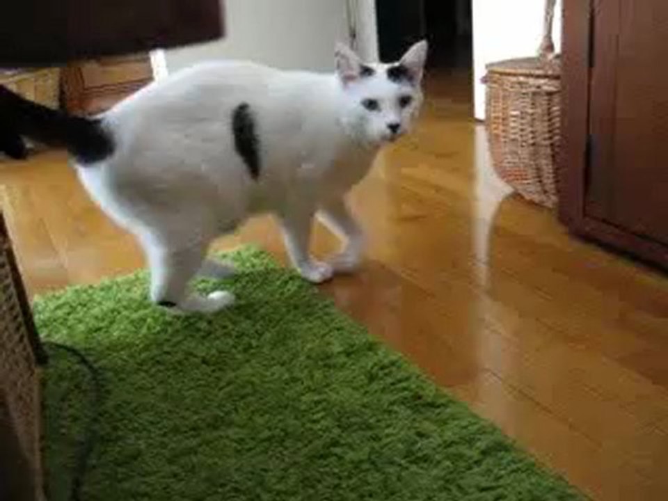 Vlad 01