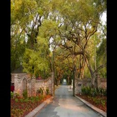 Litchfield Plantation - Bed & Breakfast - Marina