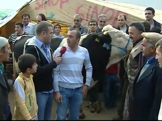 Angus Hakında Halkımızın Görüşleri