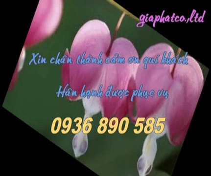 Sửa chữa điện nước tại quận 1 tphcm call 0907 323 053