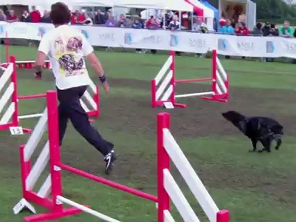 Taiga, epagneul breton, agility, GPF 2012, Manche 2