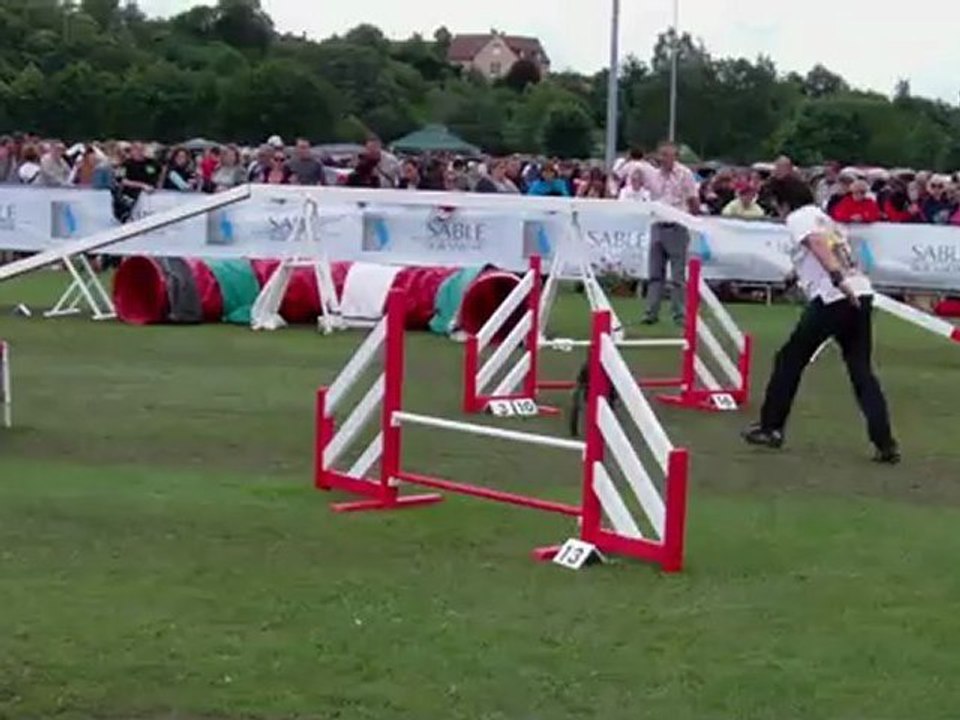 Taiga, epagneul breton, agility, GPF 2012, Manche 3
