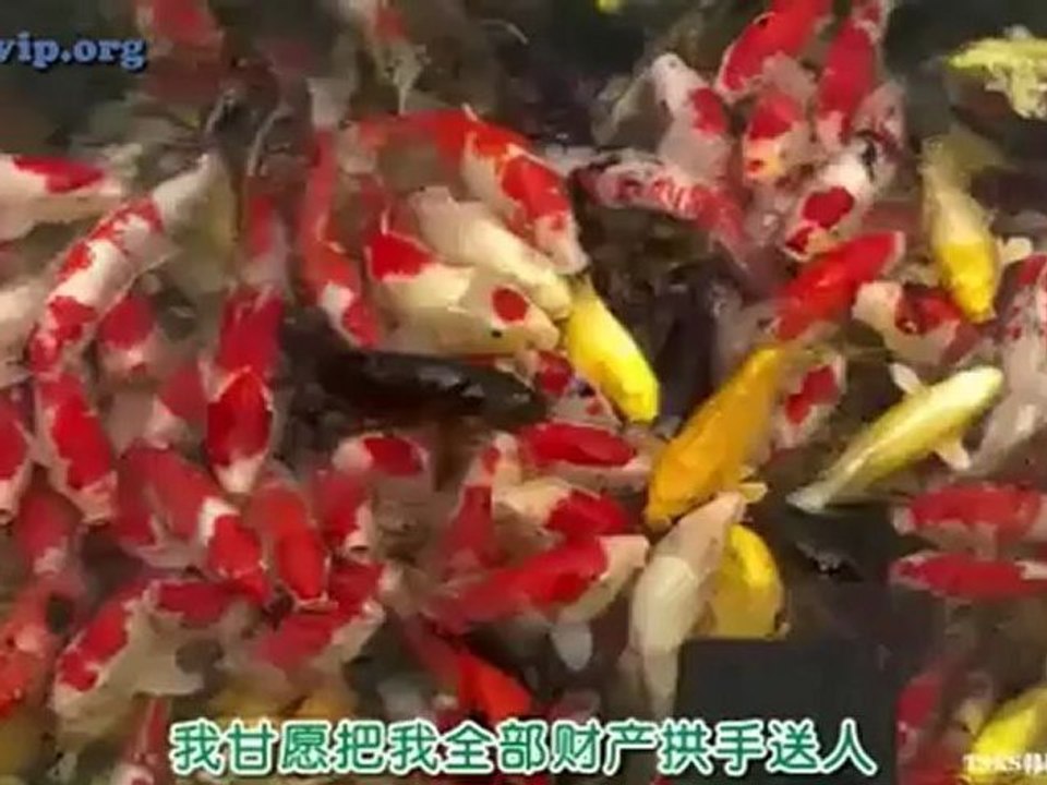 《五指》：第二集中字版-01