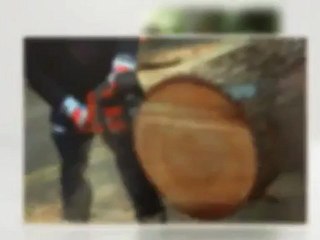 Skyline Tree Services - (828) 312-1861