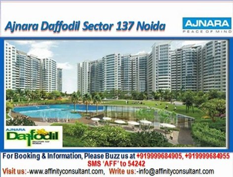 Ajnara Daffodil apartments Sector 137 Noida @ 09999684905