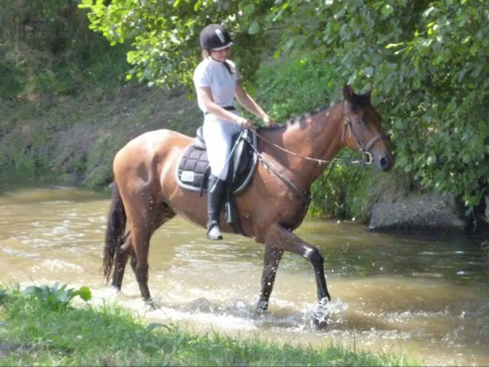 Championnat de france 2012
