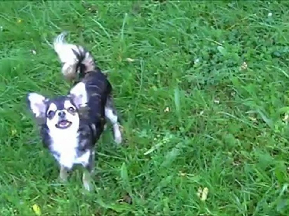 Géraldine & Fanny déchaînées ;o))