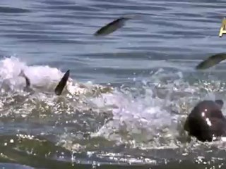 01 doga ve teknoloji yunus