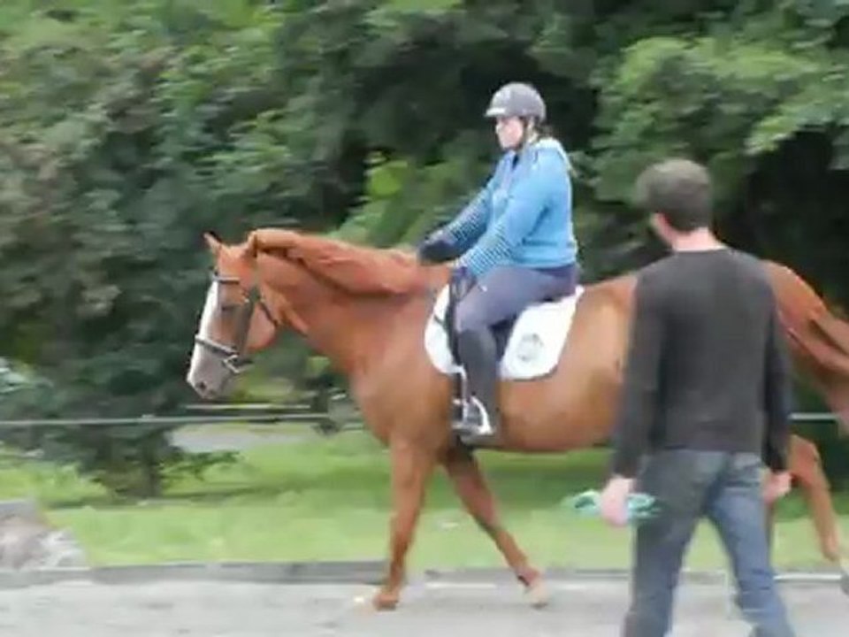 Cours Beslé (galop) aout 2012