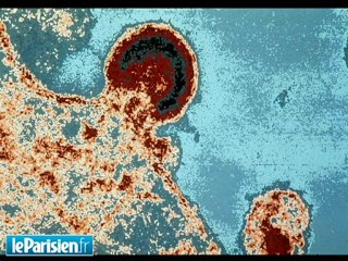 «Enfin, on reconnaît que la découverte du VIH a changé l'histoire de la médecine»