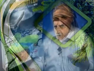 MEHMET ALİ KAYANIN HZ MEHDİ SAKALSIZ OLACAK İDDASINA CEVAP