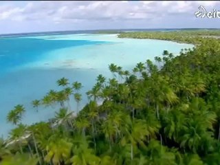 La Noche De... - La Polinesia francesa