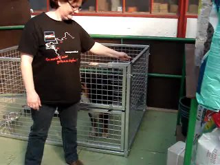 Parc à chiots porte simple