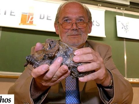 Animal, mon ami mon frère