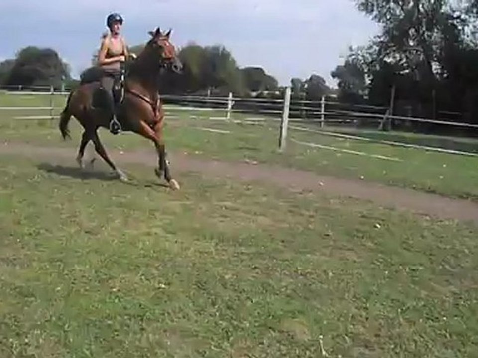 Saut avec Samson