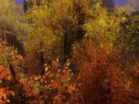 Les Plaines d'Ashford - Guild Wars 2