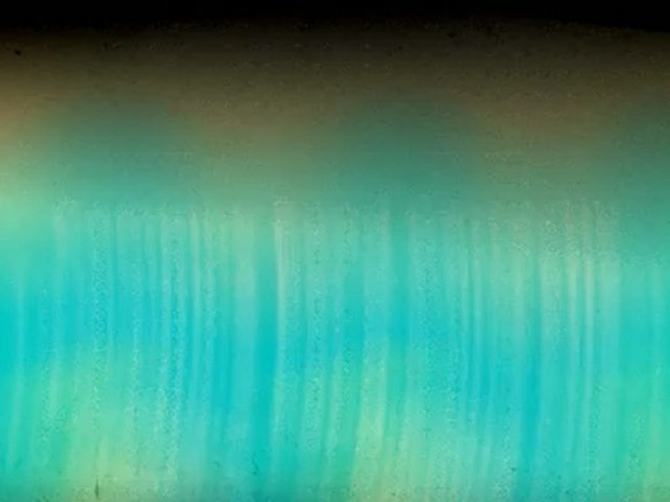 Easy Diets To Lose Weight Fast For Teenagers - Free Diet Video