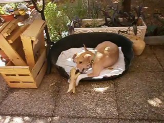 Redden et son petit os août 2012