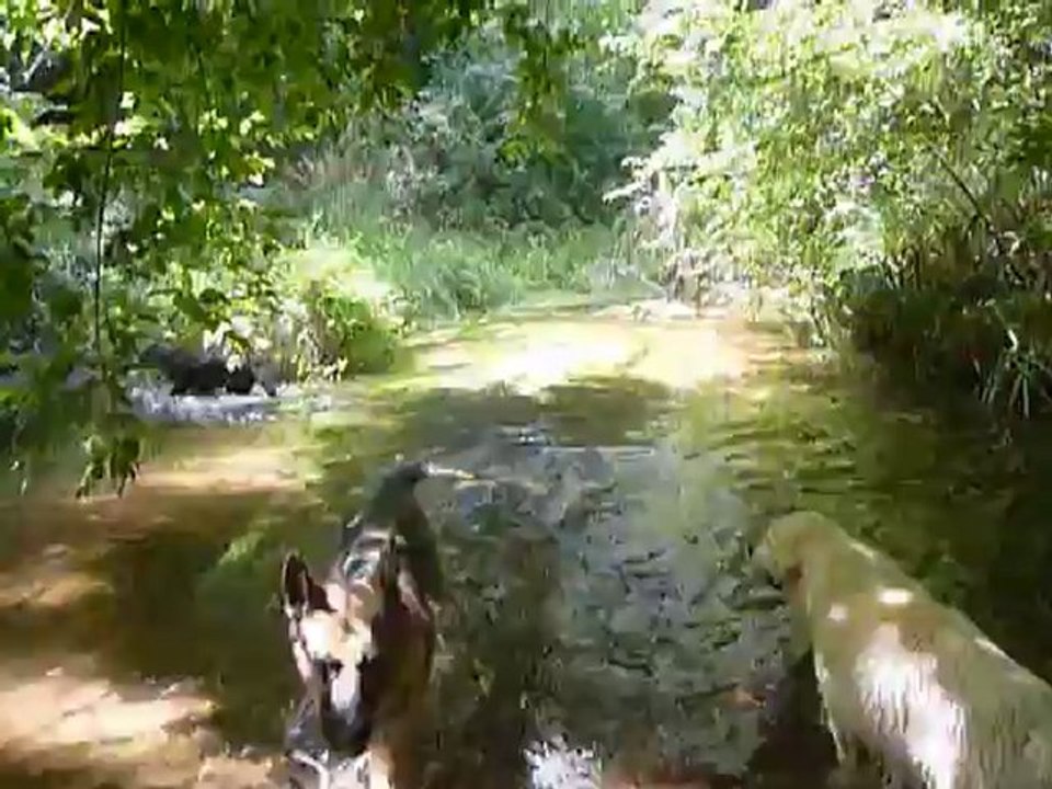 Max à la rivière