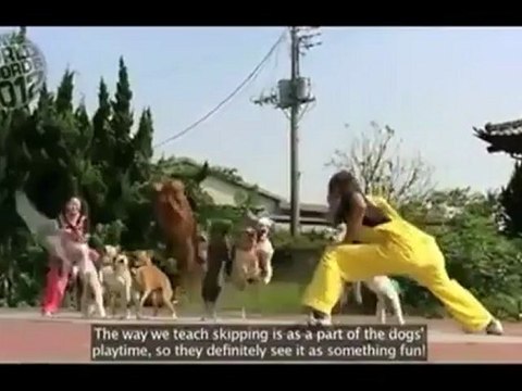 13 собак поставили мировой рекорд