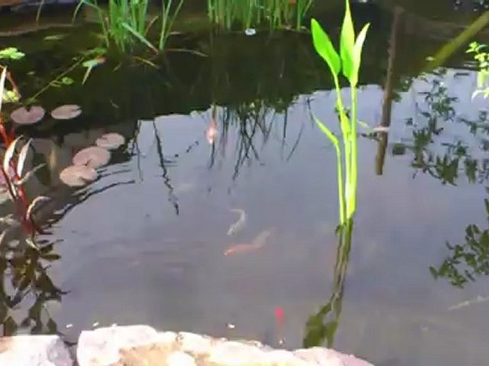 bubule déménage....