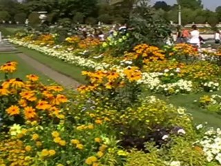 Paryż-Ogrody Luksemburskie