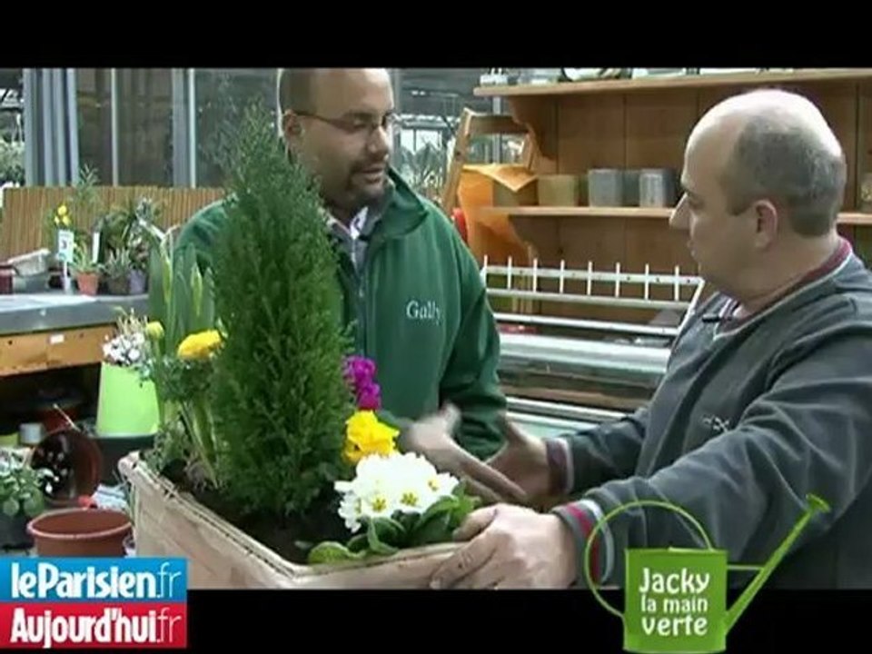 Jacky la main verte et les jardinières d'hiver