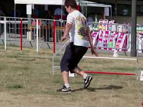 E'lia, epagneul breton, agility, toul 2012, 2eme degré
