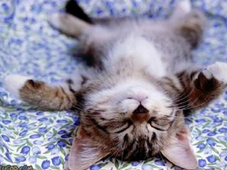 Gatinha Manhosa - Eu Mesmo