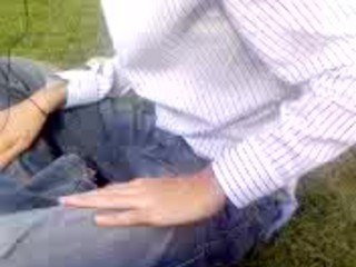 the american seekers